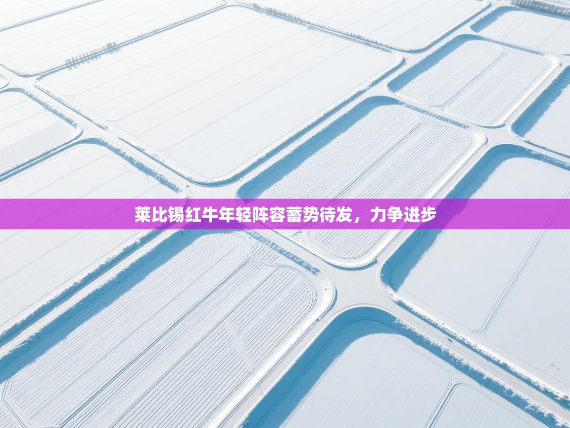 莱比锡红牛年轻阵容蓄势待发，力争进步  第1张