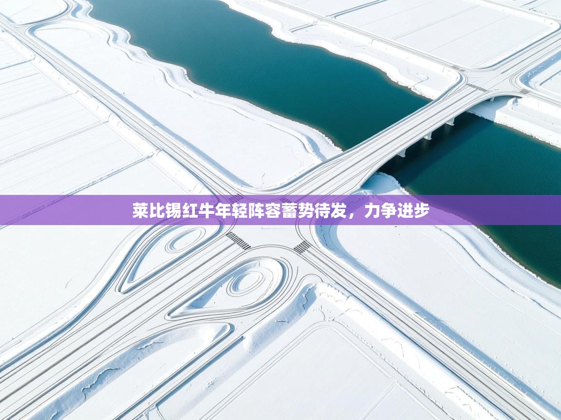 莱比锡红牛年轻阵容蓄势待发，力争进步  第2张