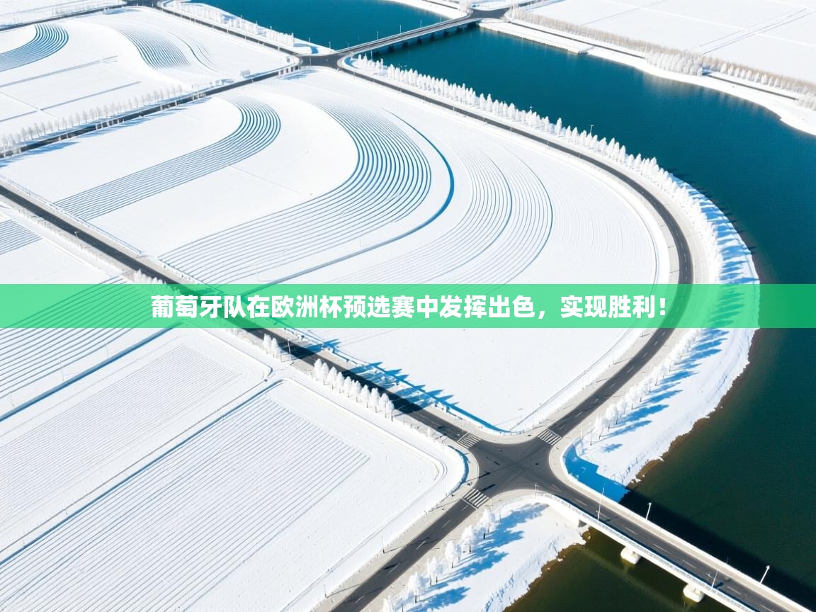 葡萄牙队在欧洲杯预选赛中发挥出色，实现胜利！  第1张