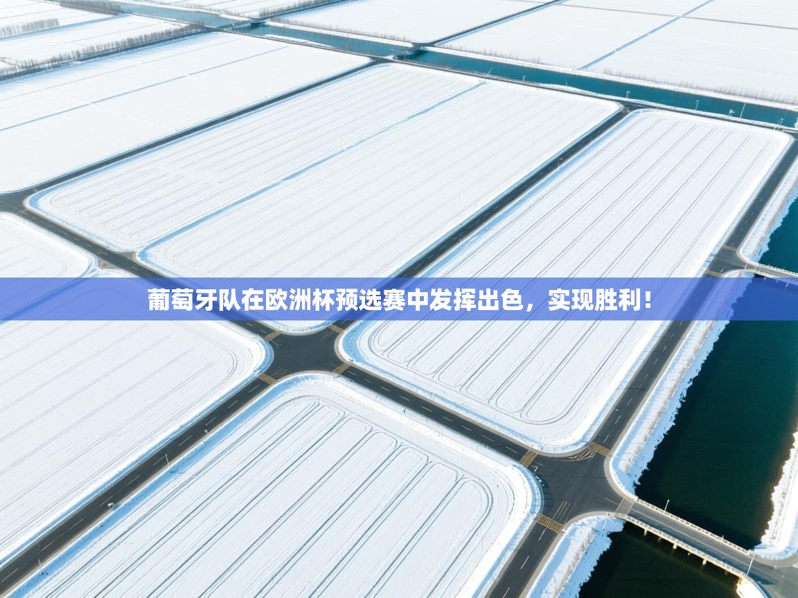 葡萄牙队在欧洲杯预选赛中发挥出色，实现胜利！  第2张