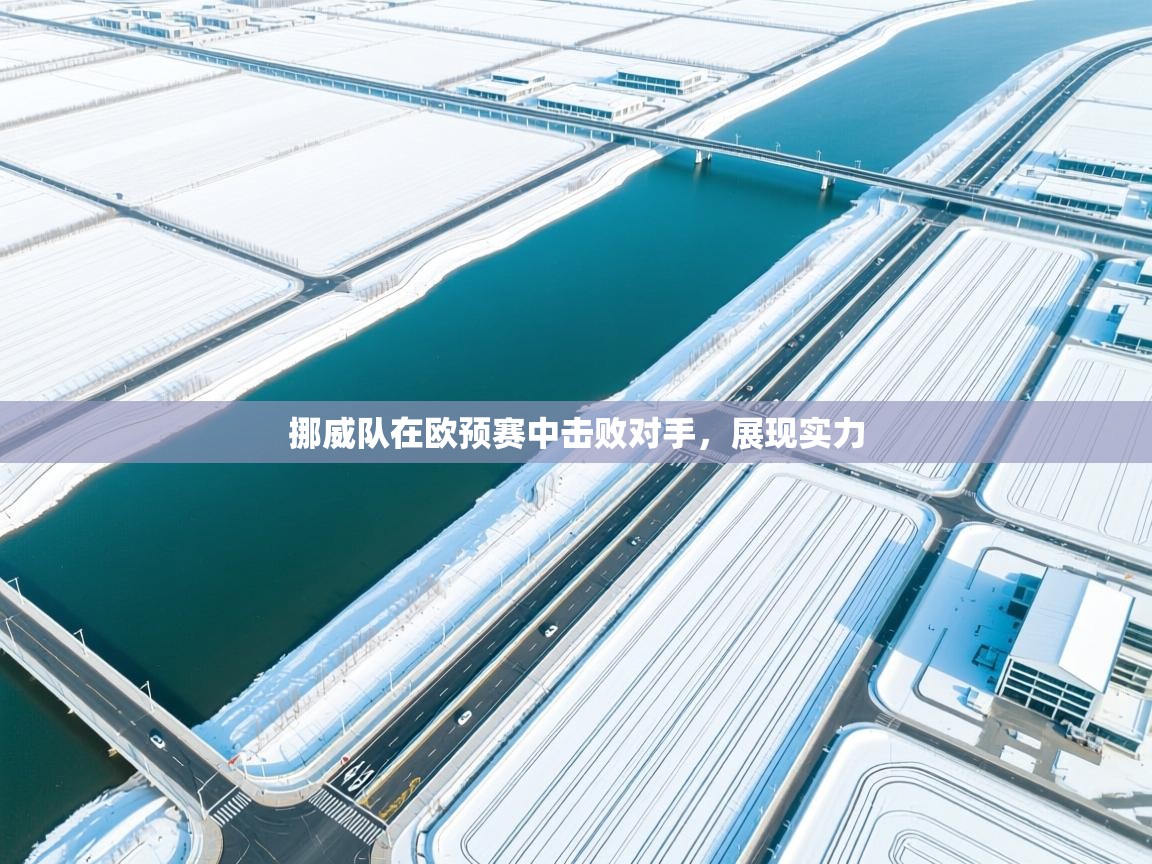 挪威队在欧预赛中击败对手，展现实力  第1张