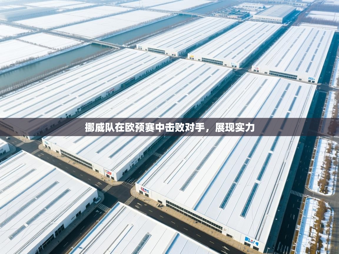 挪威队在欧预赛中击败对手，展现实力  第2张