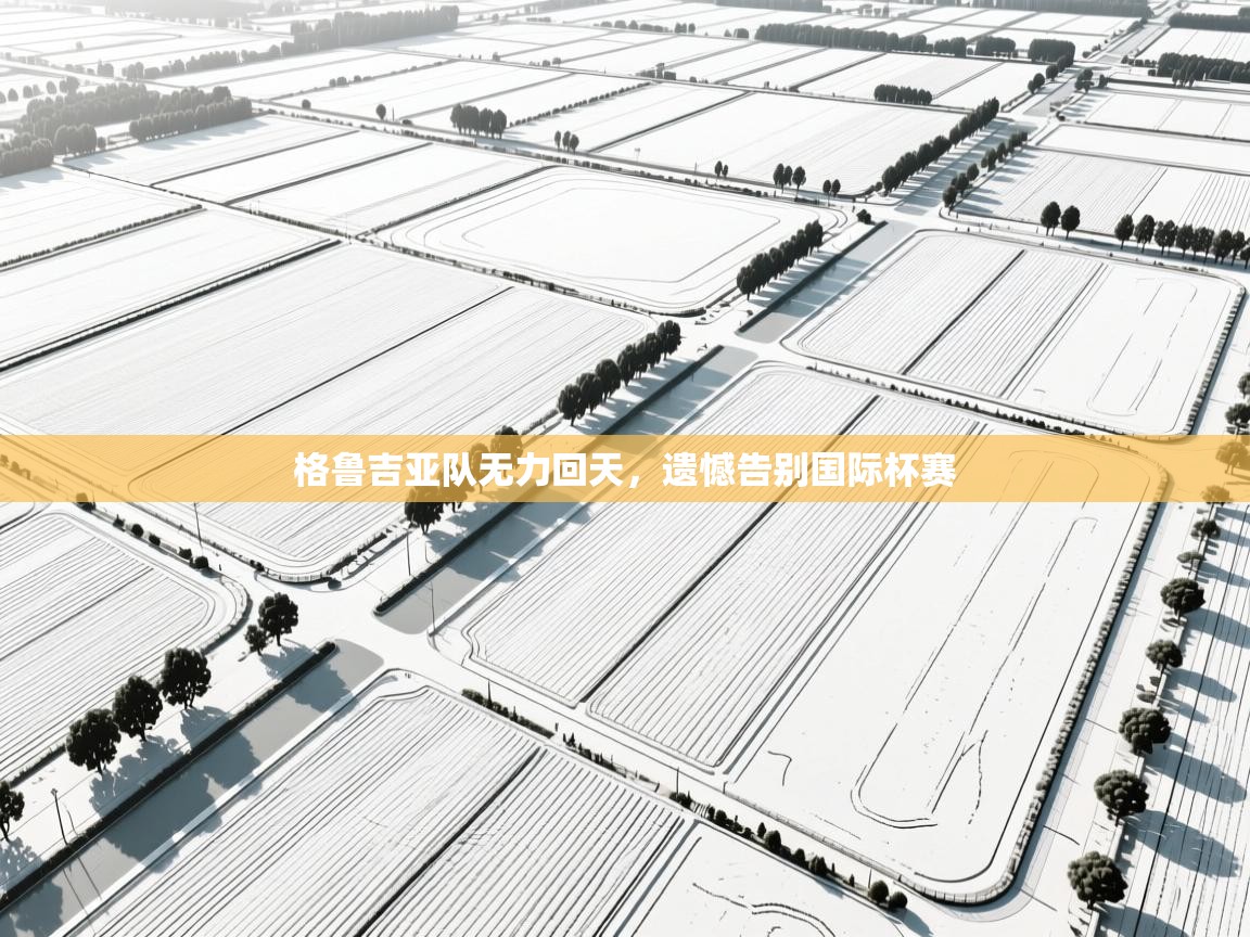 格鲁吉亚队无力回天，遗憾告别国际杯赛  第2张