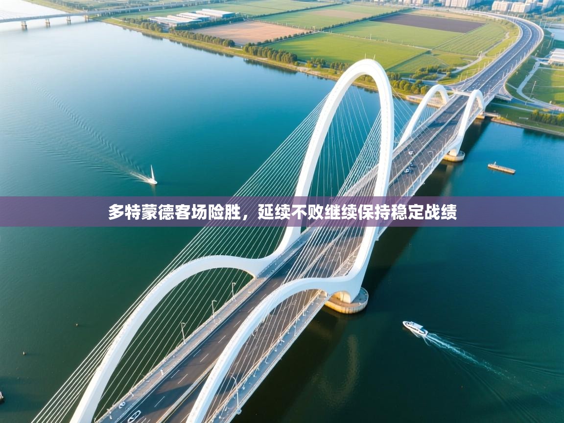 多特蒙德客场险胜，延续不败继续保持稳定战绩  第1张